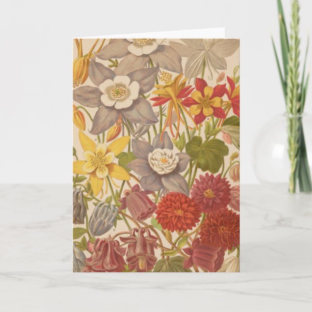 Carte Aquilegia | George Nicholson (Devant)