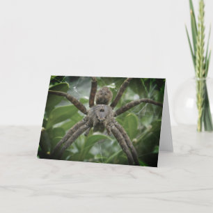 Carte Araignée d'Halloween