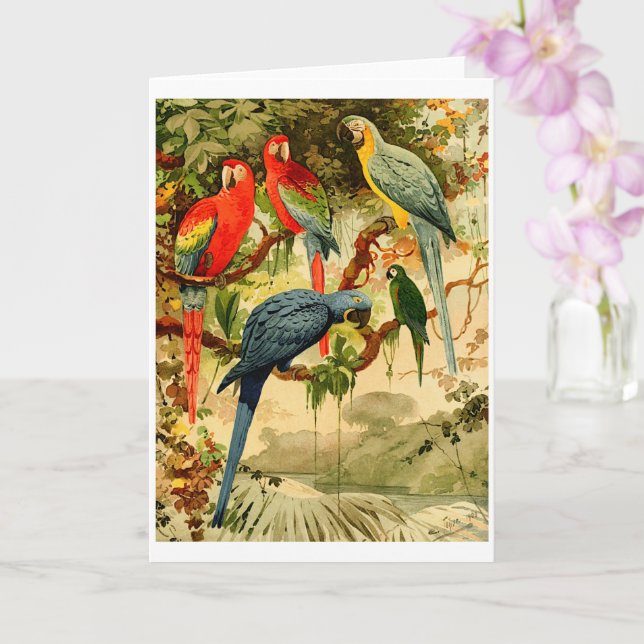 Carte Aráras, Emil August Göldi (1900-1906) (Orchidée)