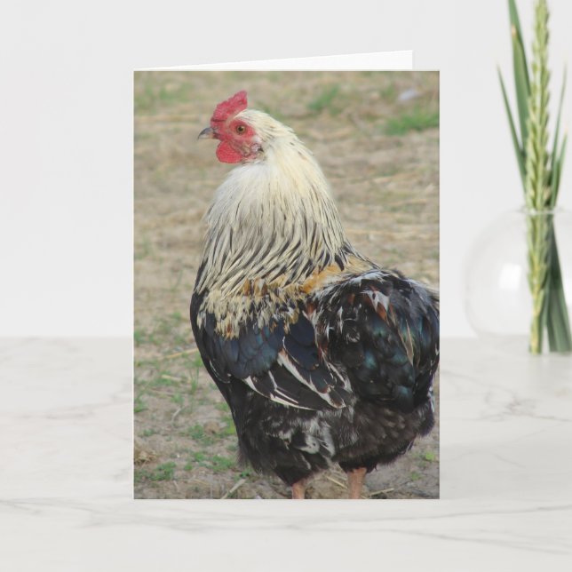 Carte Araucana (Devant)