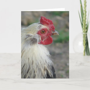 Carte Araucana