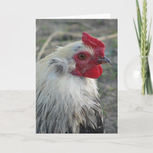 Carte Araucana (Devant)