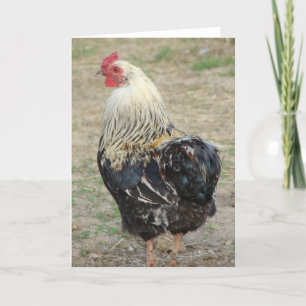 Carte Araucana