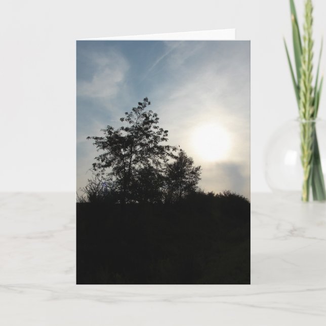 Carte Arbre à coucher (Devant)