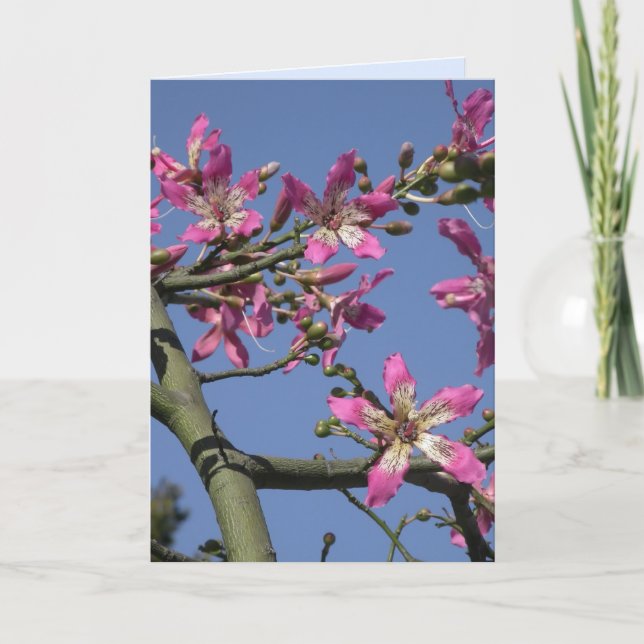 Carte Arbre à fleur de soie (Devant)