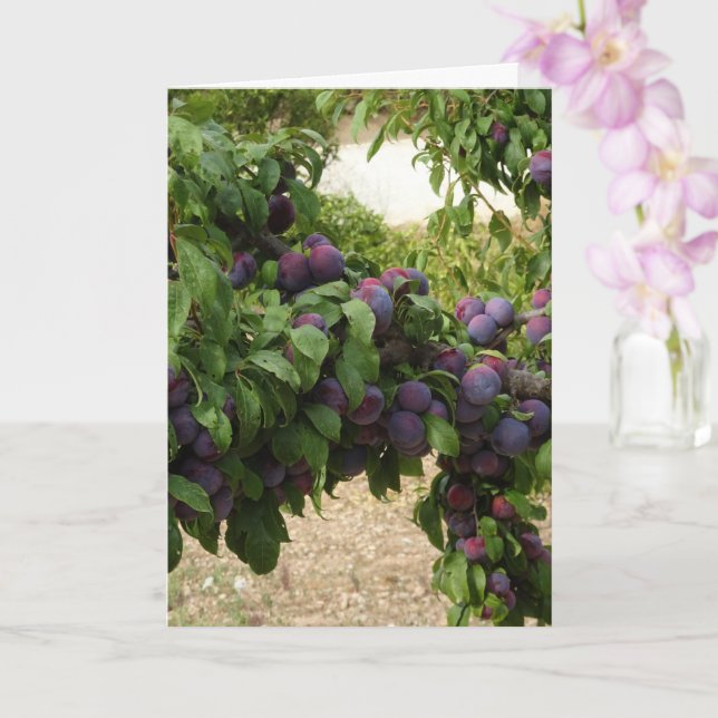 Carte Arbre à prune pourpre (Orchidée)