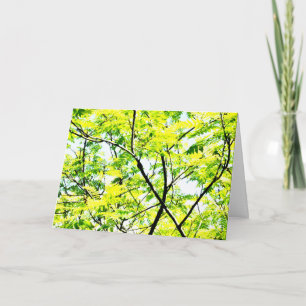 Carte Arbre Canopée Pop Art