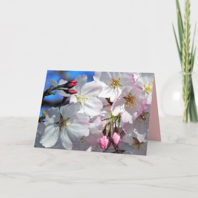 Carte Arbre cerise en fleurs (Devant)