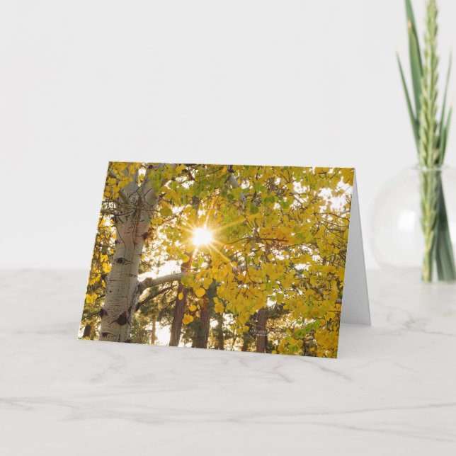 Carte Arbre D'Aspen Avec Chute Jaune Et Coup De Soleil (Devant)