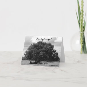 Carte Arbre de la vie