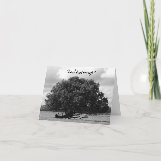 Carte Arbre de la vie (Devant)