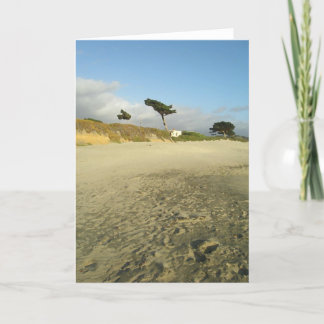 Carte Arbre de plage