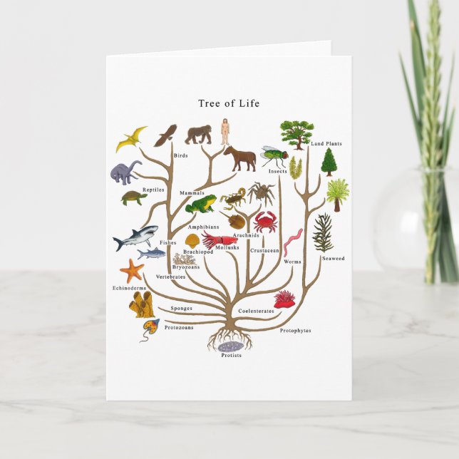 Carte Arbre De Vie (Devant)