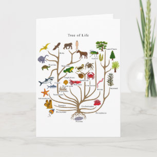 Carte Arbre De Vie