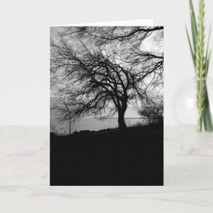 Carte Arbre éffrayant - Devis Edgar Allan Poe
