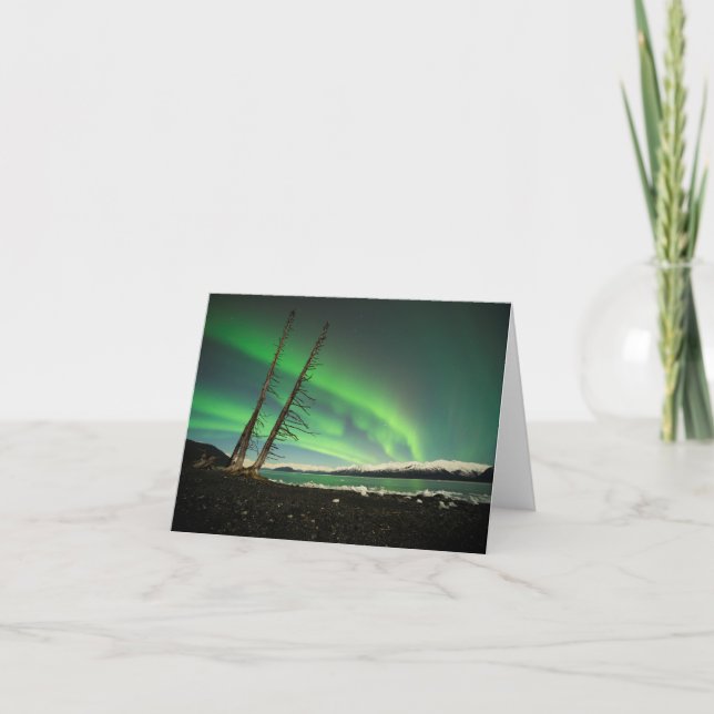 Carte Arbre penché Aurora (Devant)