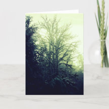 Carte Arbre Spirit