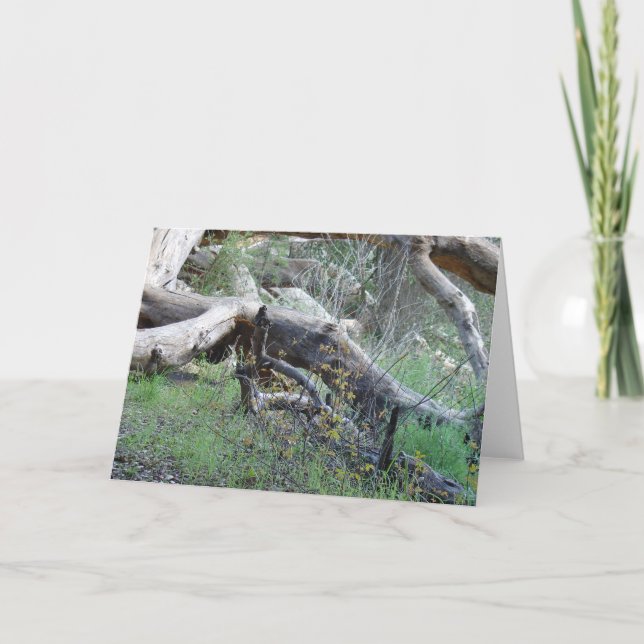 Carte Arbre tombé (Devant)