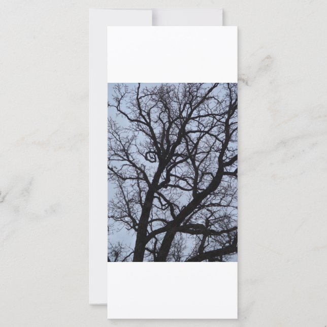 Carte Arbre vampire (Devant)