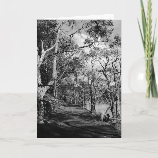 CARTE ARBRES (Devant)