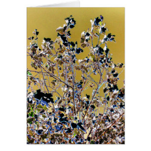 Carte ARBRES