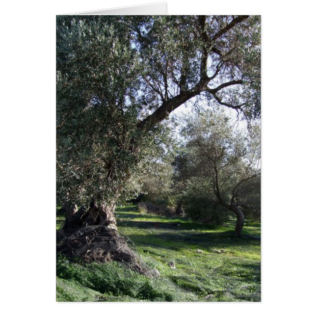 Carte Arbres (Devant)