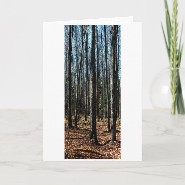 Carte Arbres à la fin de l'automne : Numériquement Forêt (Devant)