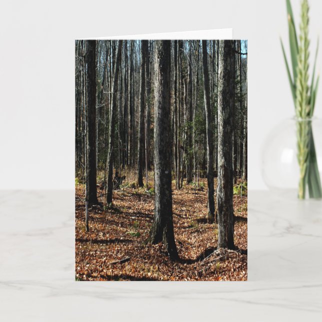 Carte Arbres à la fin de l'automne : Numériquement Forêt (Devant)
