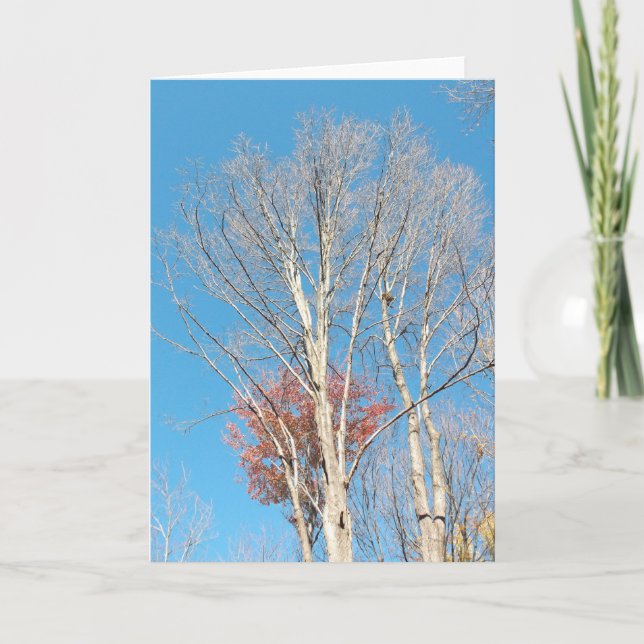 Carte Arbres arren (Devant)