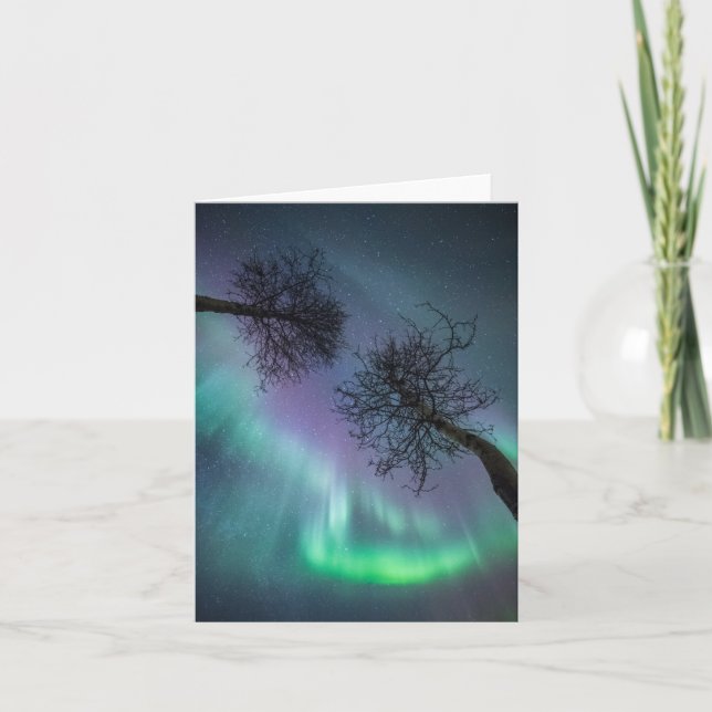 Carte Arbres aurifères du Nord (Devant)