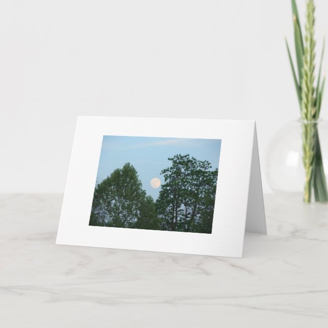 Carte Arbres, citation de motivation (Devant)