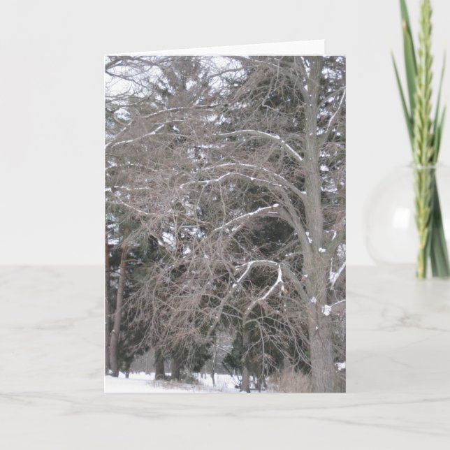 Carte Arbres dans la neige III (Devant)