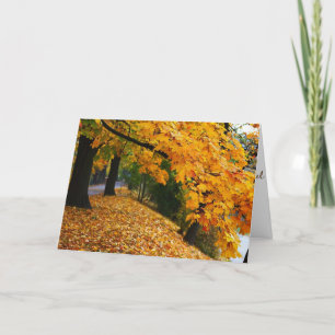 Carte Arbres d'automne dorés