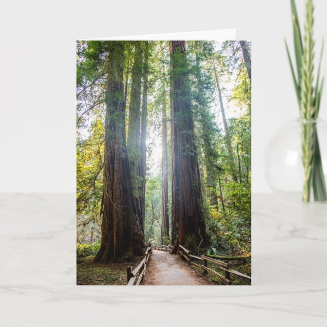 Carte Arbres grands (Devant)