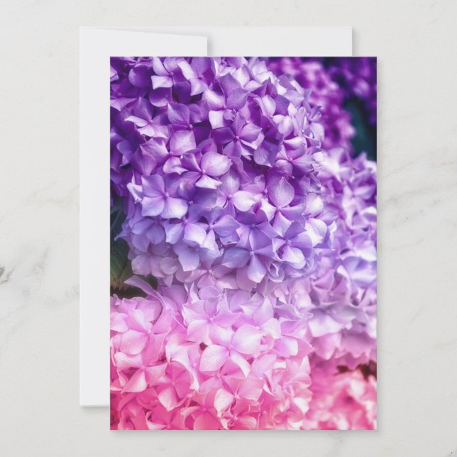 Carte Arc arc-en-ciel d'Hydrangea (Devant)