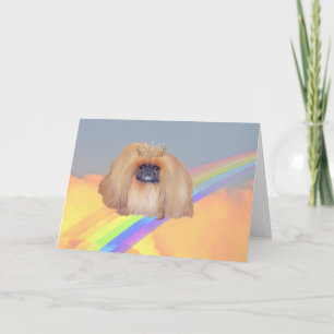 Carte Arc en ciel de Pekingese