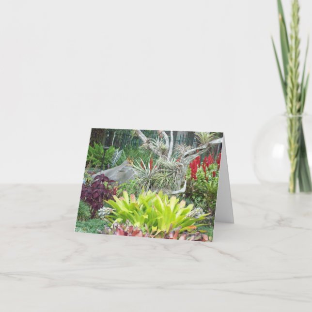 Carte Arid Garden Photo Pliée Note (Devant)