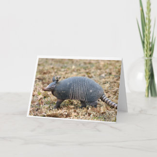 Carte Armadillo