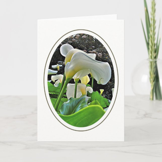 Carte Arum Lilies Blank Greeting Card (Devant)