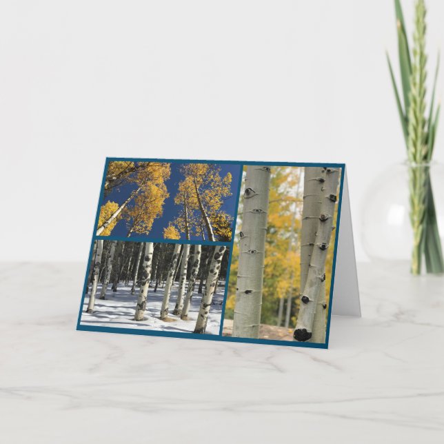 Carte Aspens (Devant)