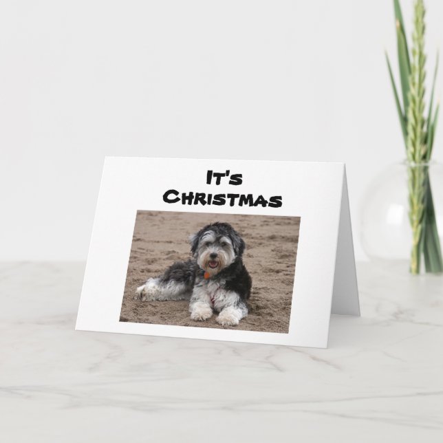 CARTE ASSIS ICI PENSE À VOUS À NOËL (Devant)