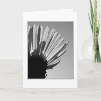 Carte ASTER : A Die Falls. ..