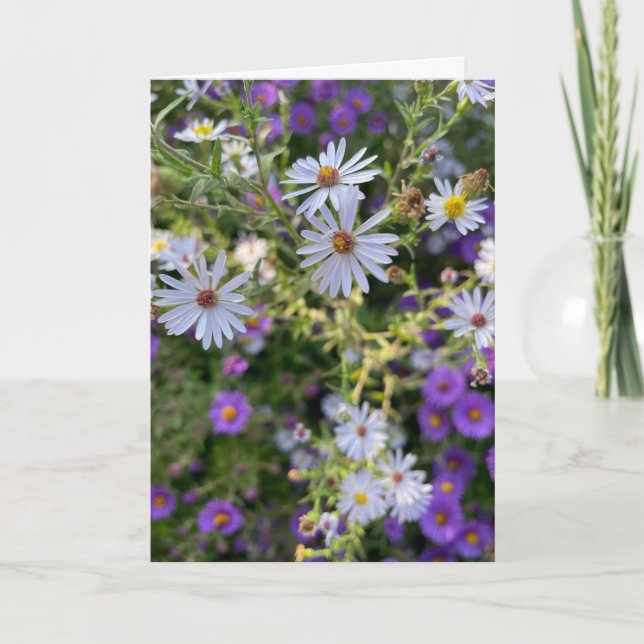 Carte Asters (Devant)