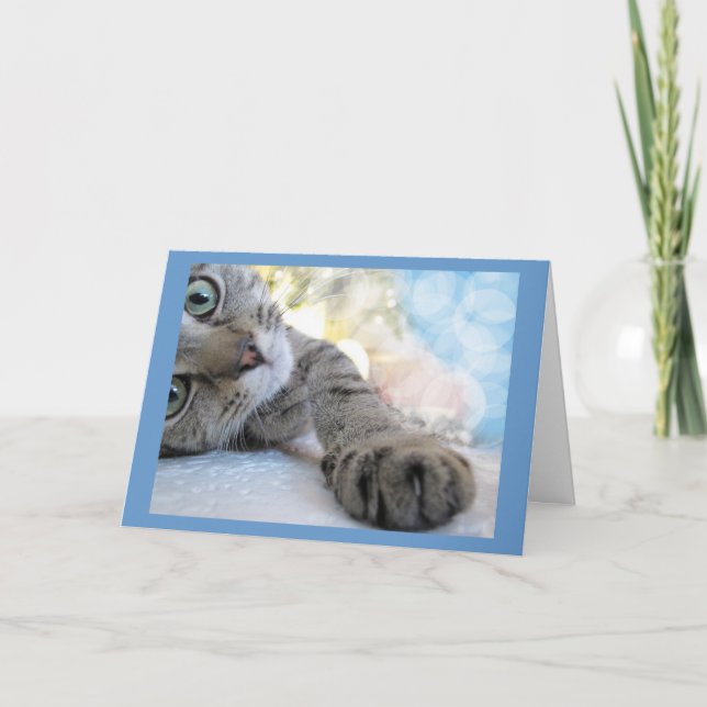 Carte Atteindre le chat mignon, animal de compagnie Kitt (Devant)