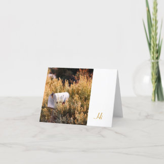 Carte Attente du courrier