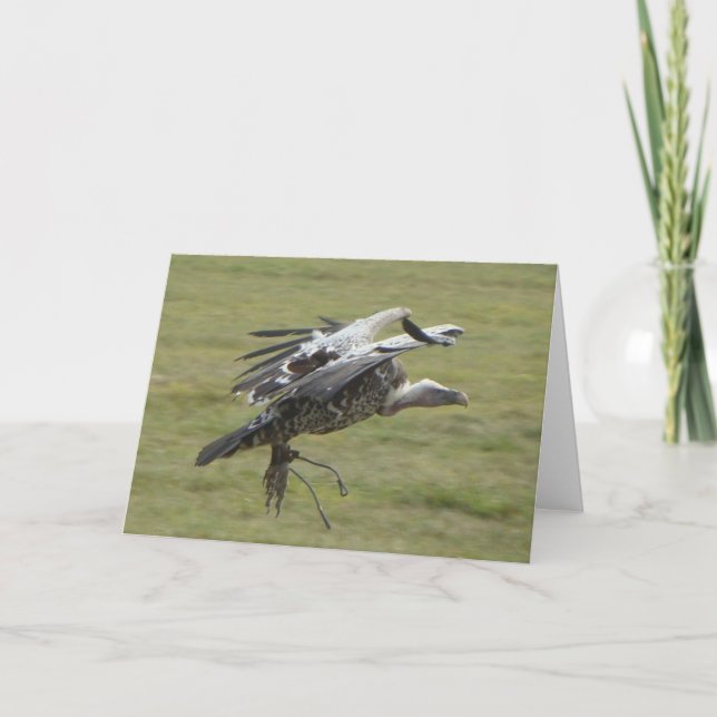 Carte Atterrissage avec ailes ouvertes oiseau de proie p (Devant)