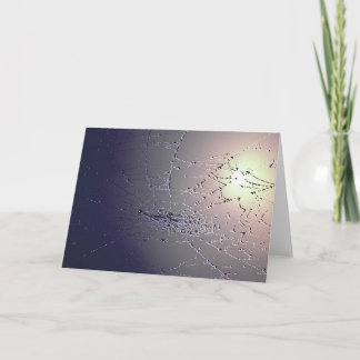 Carte Attrapé !
