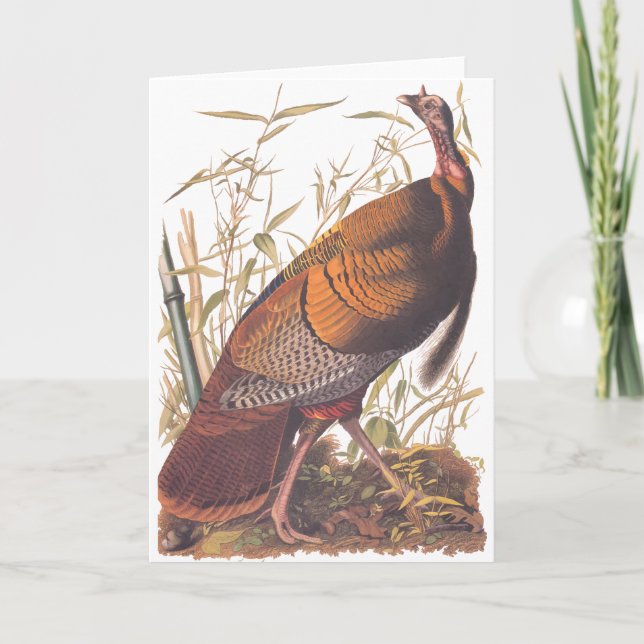 Carte Audubon Wild Turkey (Devant)