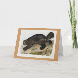 Carte Audubon - Wolverine