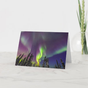 Carte Aurora Borealis Fairbanks, Alaska